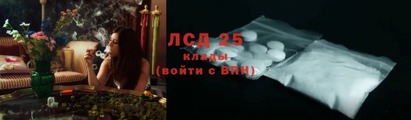 ГАЛЛЮЦИНОГЕННЫЕ ГРИБЫ Аркадак