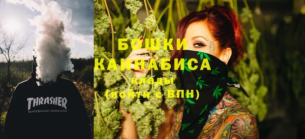 ГАЛЛЮЦИНОГЕННЫЕ ГРИБЫ Аркадак