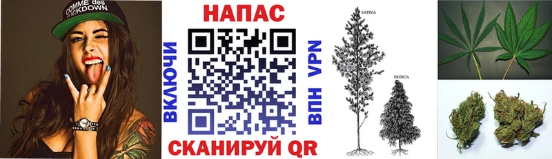 купить  цена  hydra ссылки  Шишки марихуана Ganja  Миасс 